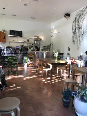 Fitz Seoul