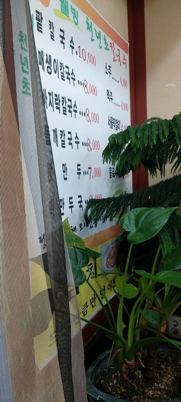 박가네칼국수 사진 2