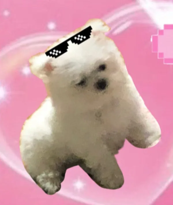 오뉴 사진 2