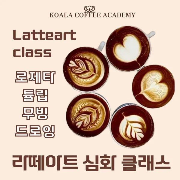 코알라커피아카데미 사진 3