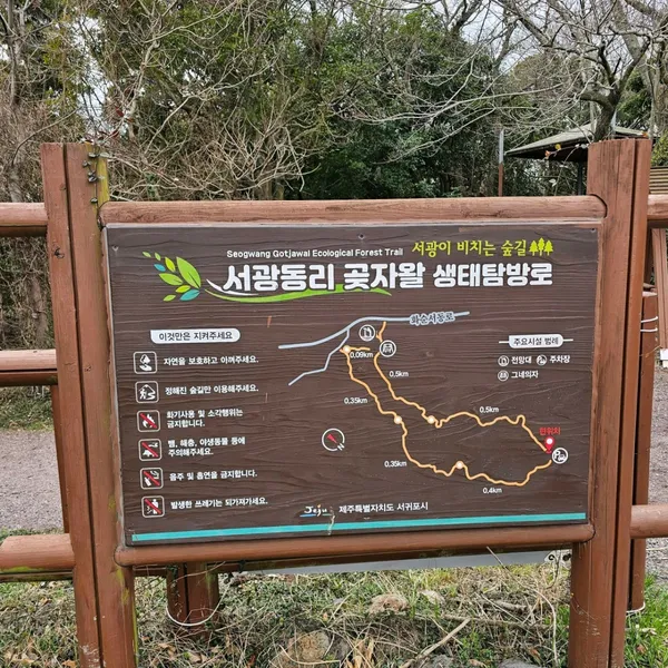 서광동리 곶자왈 생태탐방로 사진 2