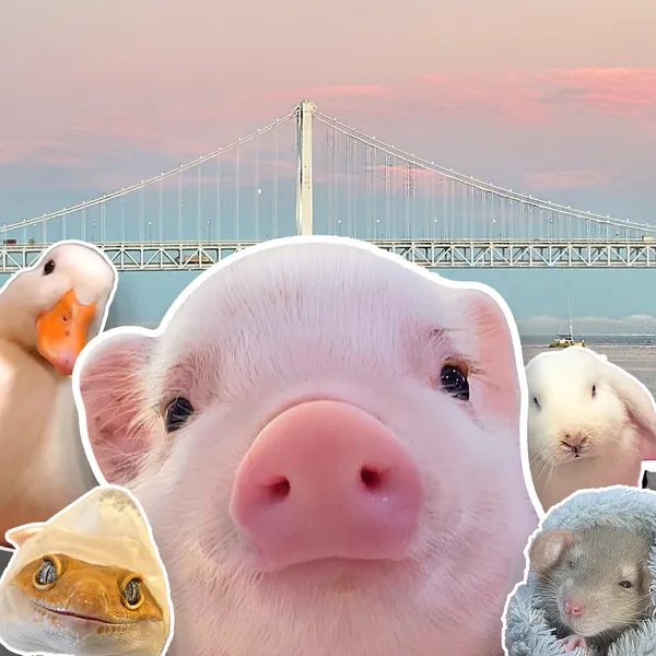 세븐테마카페 본점
