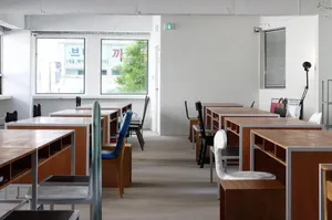 평화와평화
