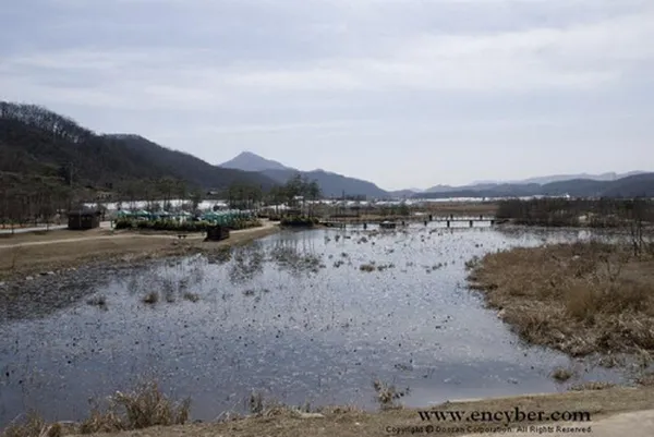 경안천습지생태공원