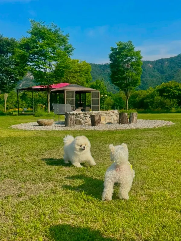 뛰어멍