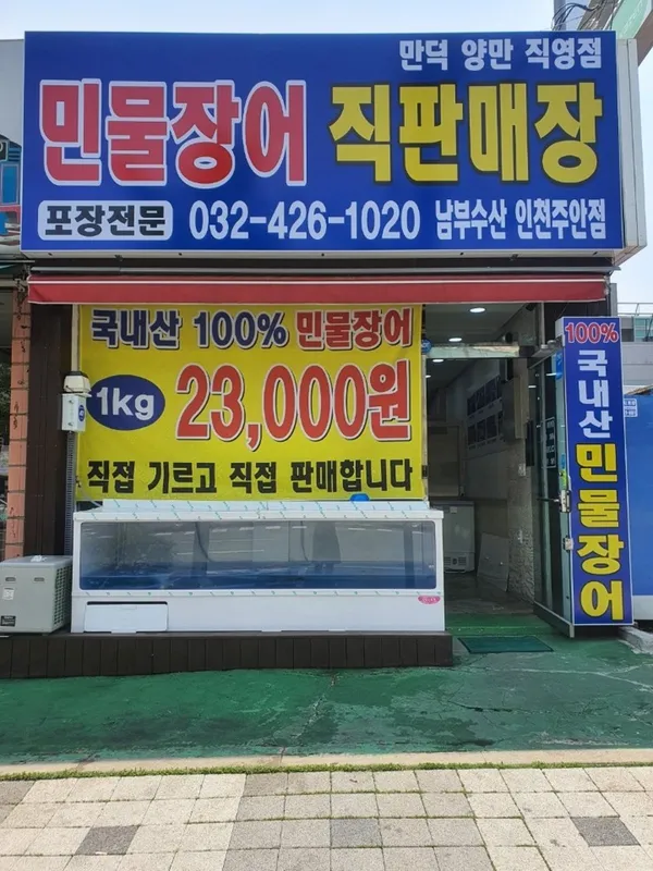 남부수산장어