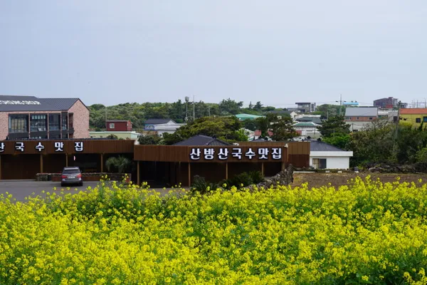 산방산국수맛집