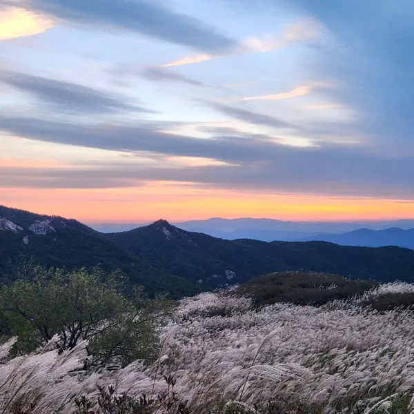 황매산
