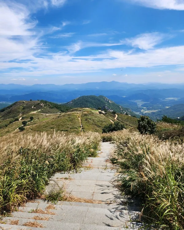 황매산 사진 3
