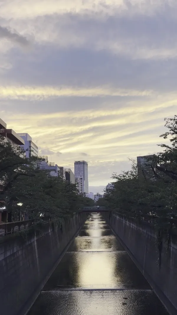 Meguro River 사진 4