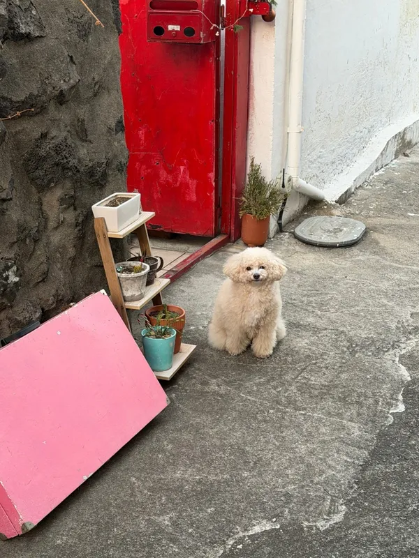 미미빈티지