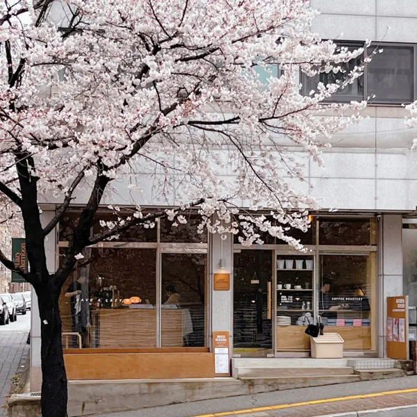 레이지에프터눈