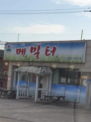 메밀터