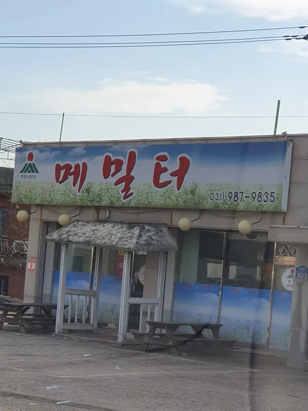 메밀터