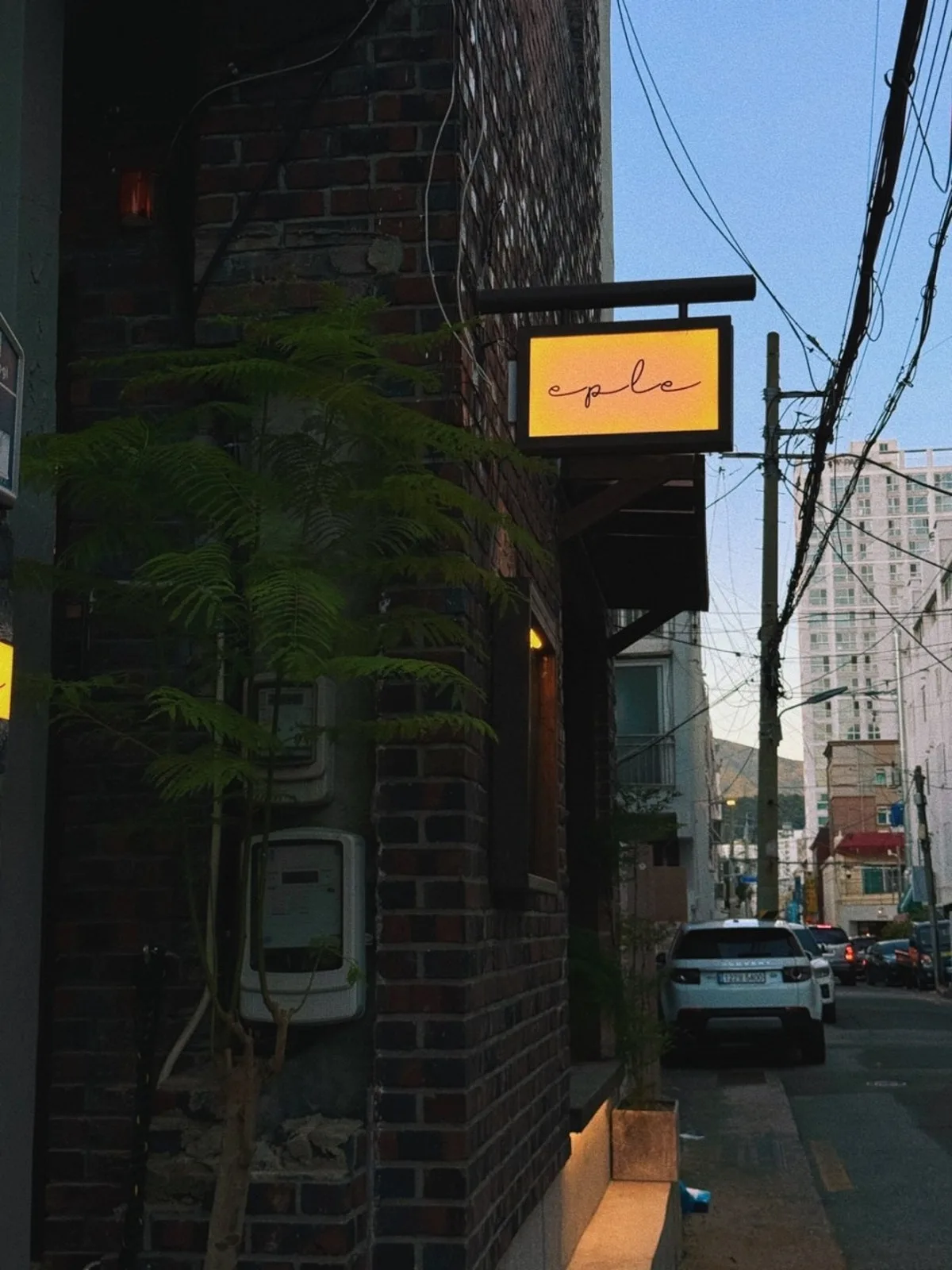 카페이플