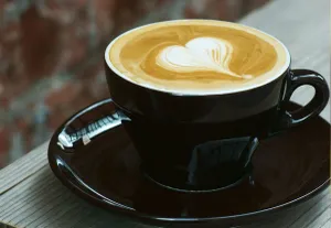 Obscura Coffee Roasters