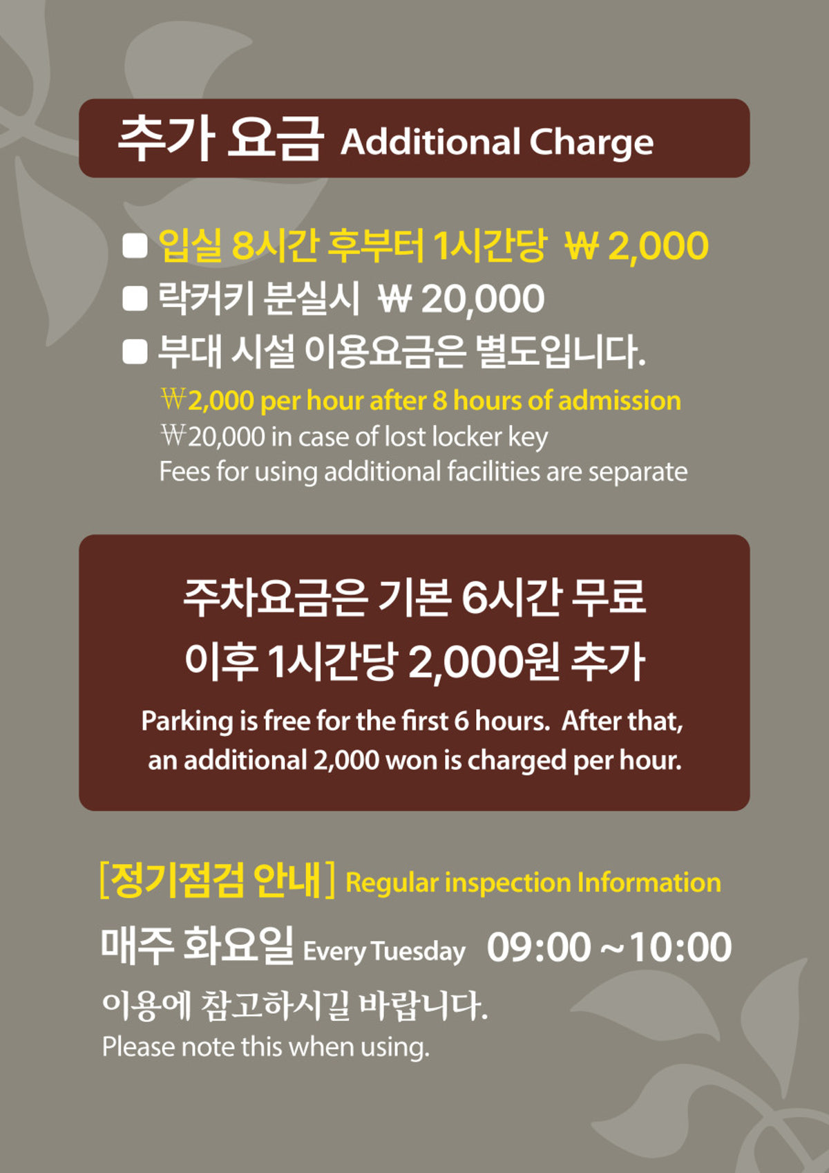 스파레이 사진 2