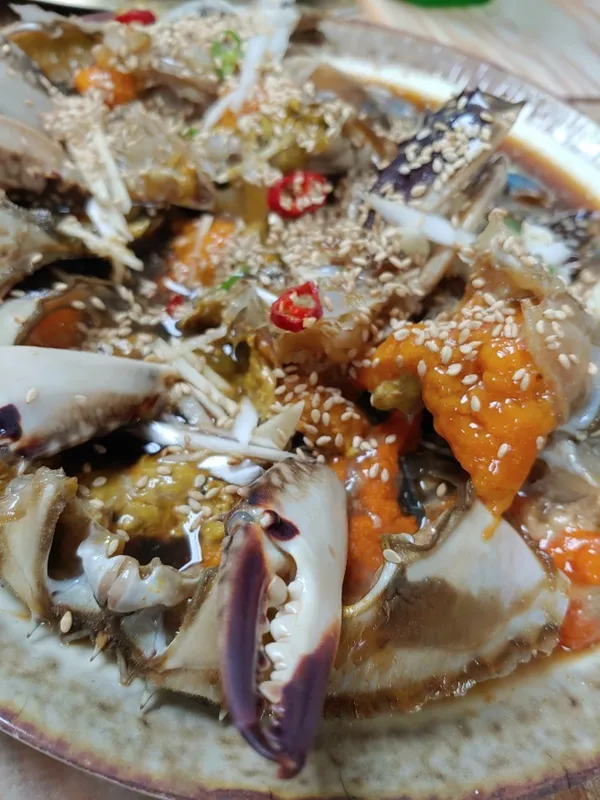 보리 사진 2