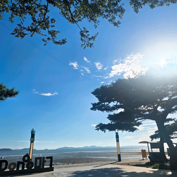 동막해변 사진 3