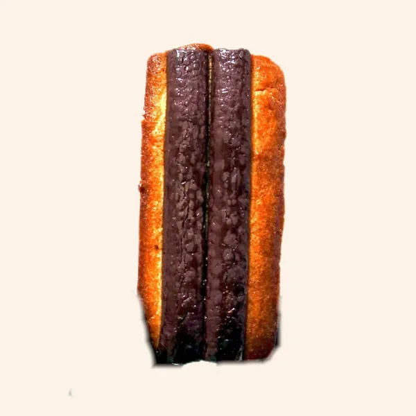 포키 사진 3