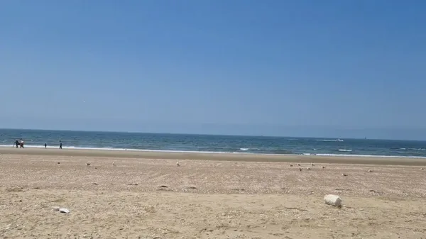 삼봉해수욕장 사진 3