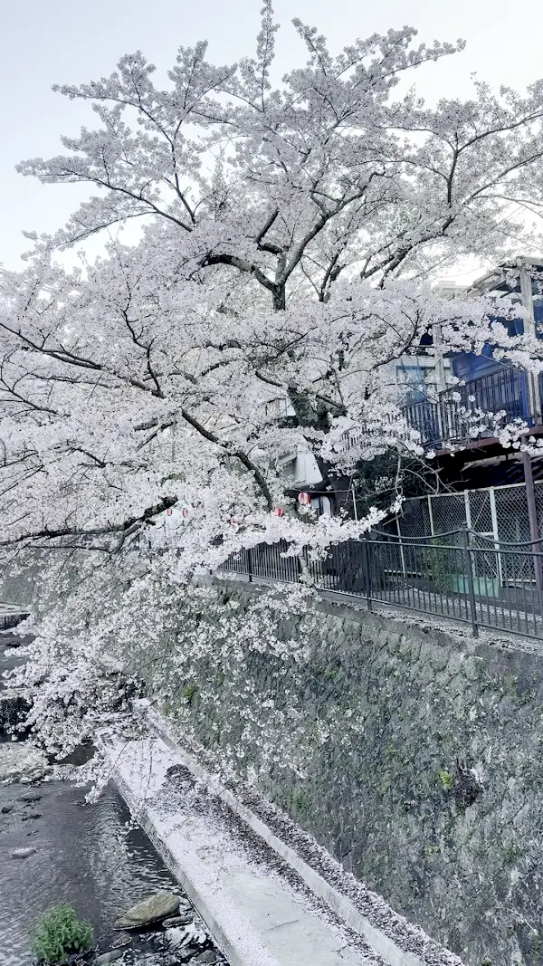 아리마 온천 금탕 사진 3