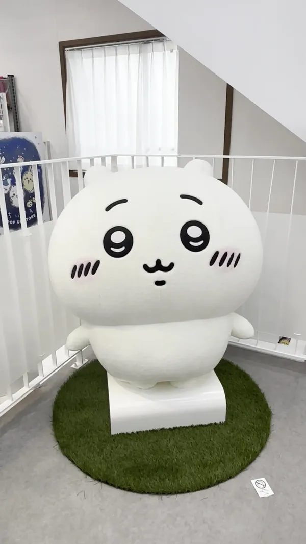0%나하 사진 5
