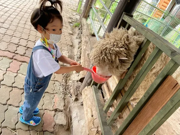 최남단체험감귤농장 사진 2