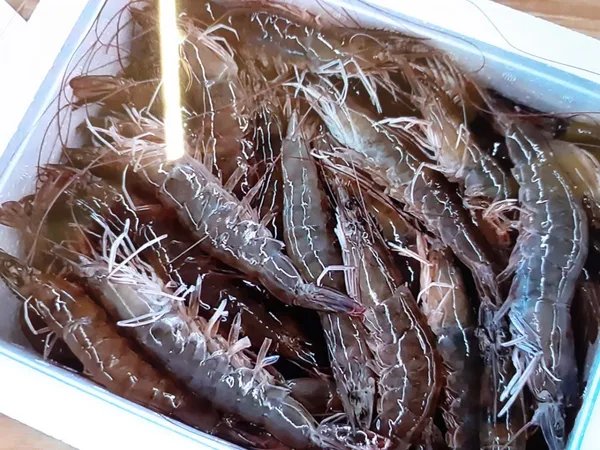 대부수산 오천점