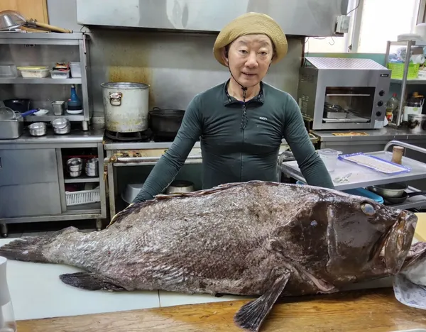 진미명가