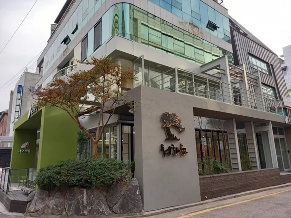 바오로딸 혜화나무