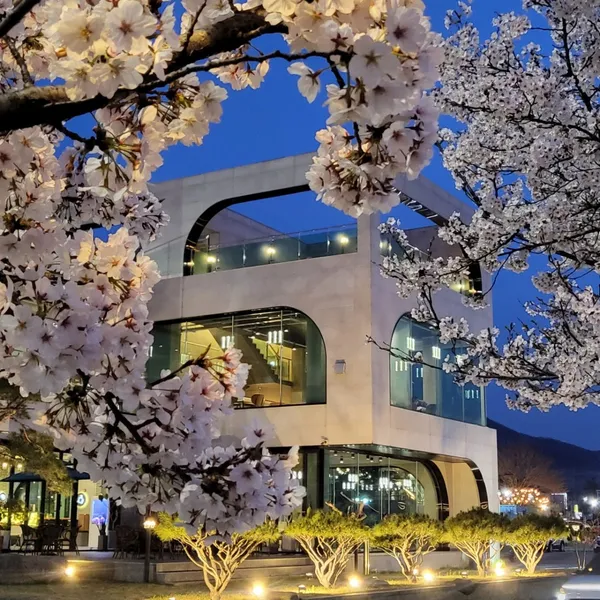 좋은아침페스츄리 신정호수점