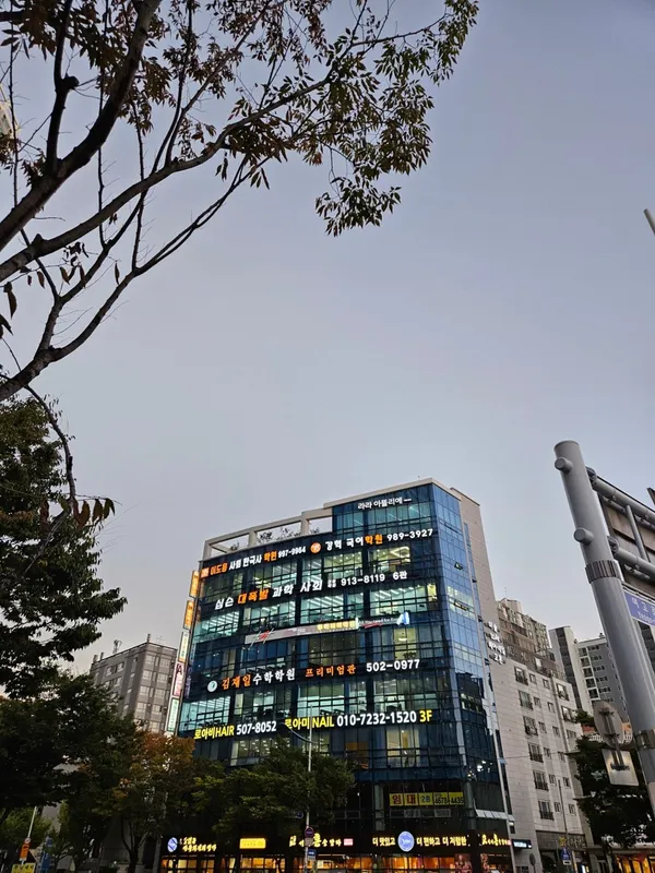 심슨대폭발과학사회전문학원