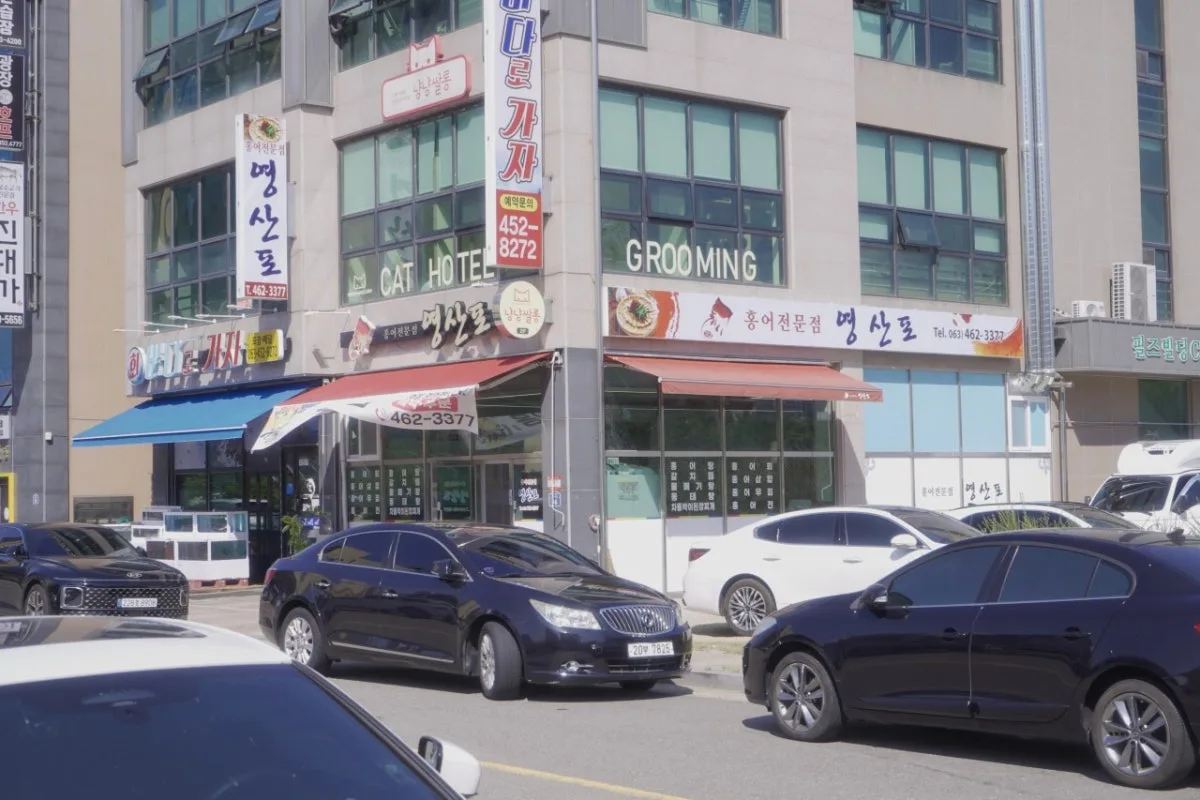 영산포 홍어