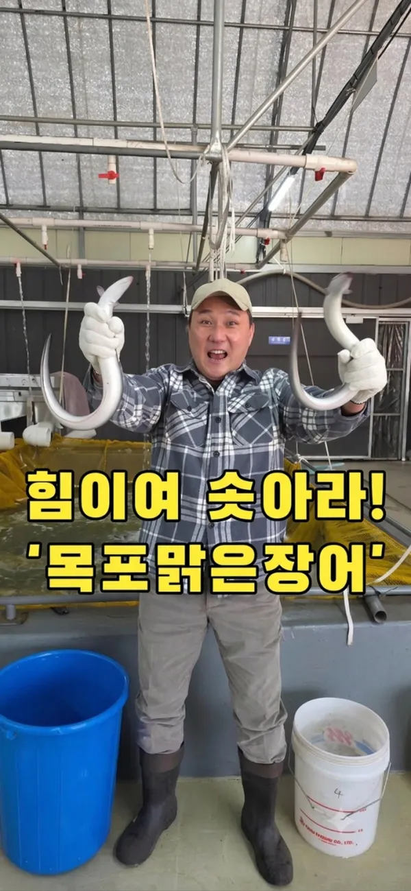 목포 추천 3탄 11곳