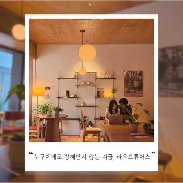 라우브류어스