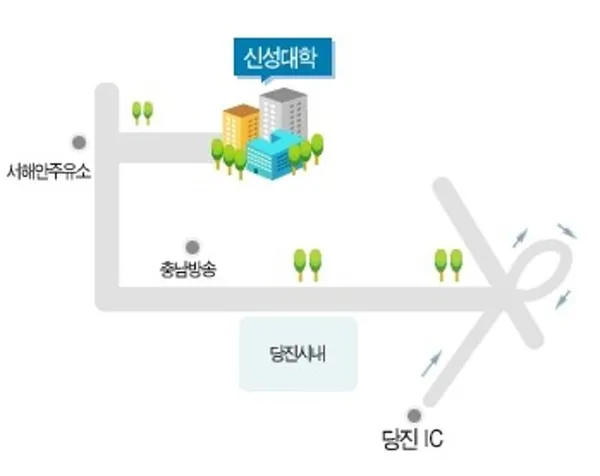 신성대학교