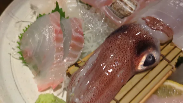 츠키마루미 사진 2