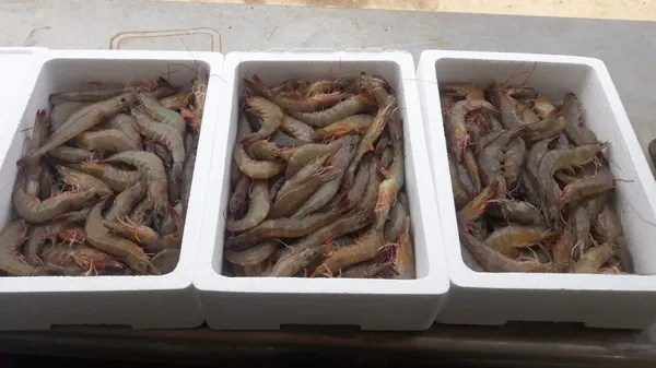 서해수산 본점 사진 3