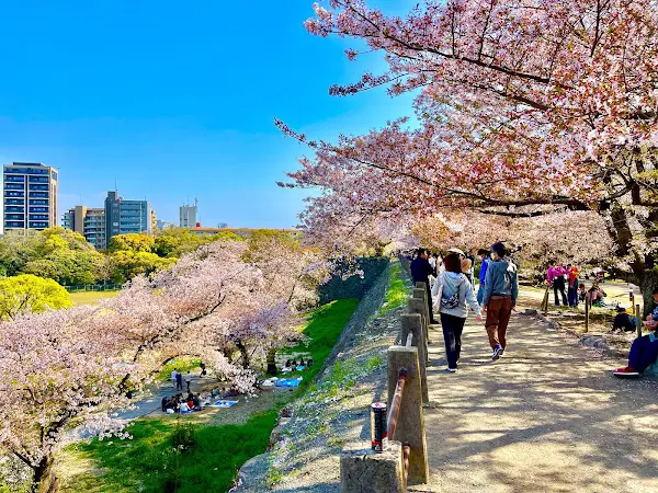 마이즈루 공원