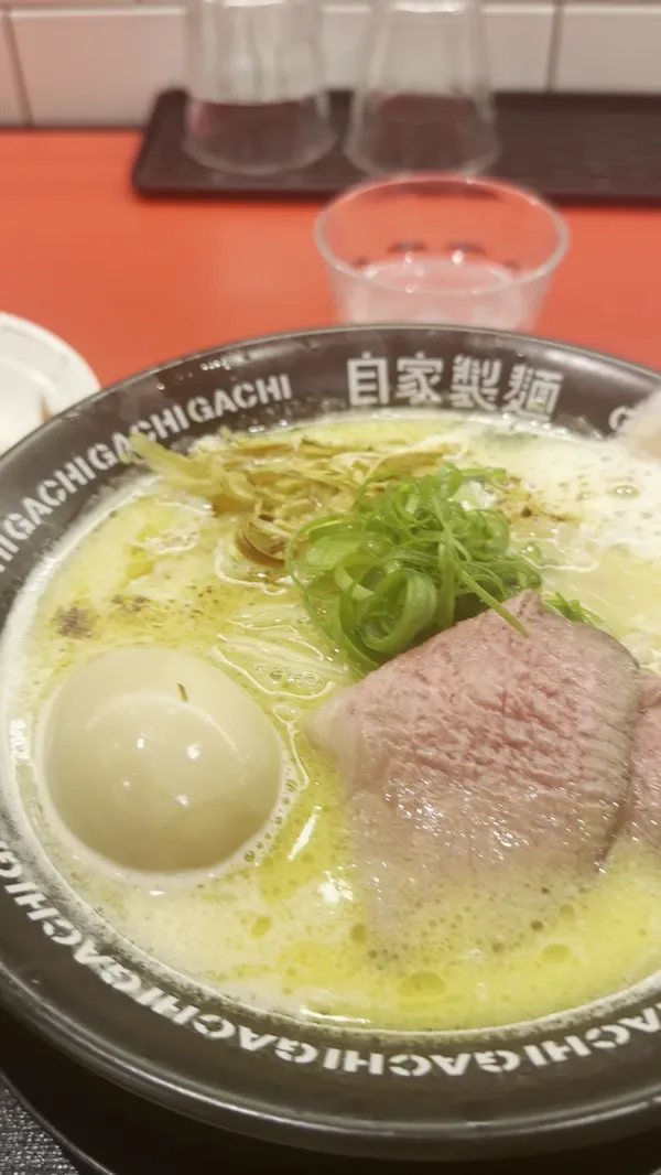 지카세이 멘쇼 사진 2