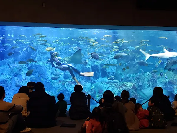 우미타마고 수족관 사진 2