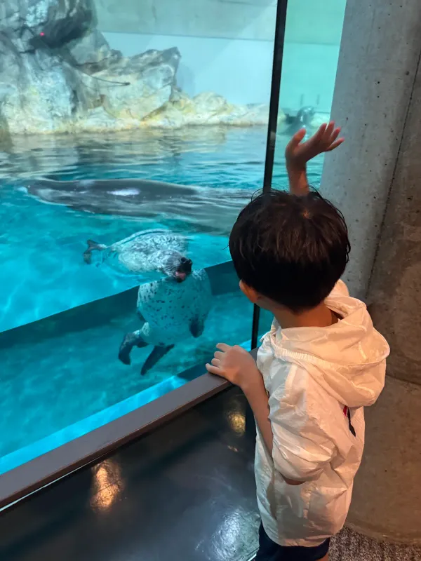 Umitamago Aquarium, photo 3