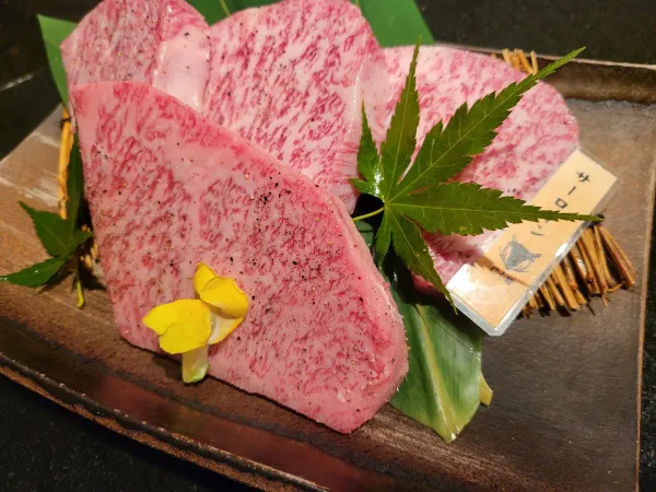 Niigata Snow-Made Yakiniku Nikuine Roppongi Branch, photo 3