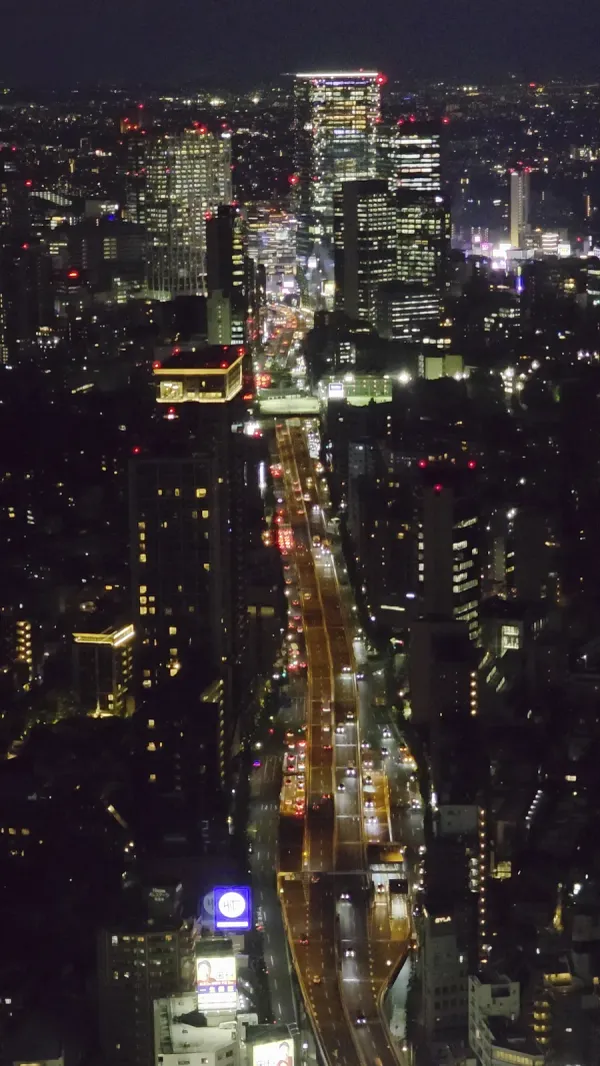 Roppongi Hills Observatory Tokyo City View, photo 4