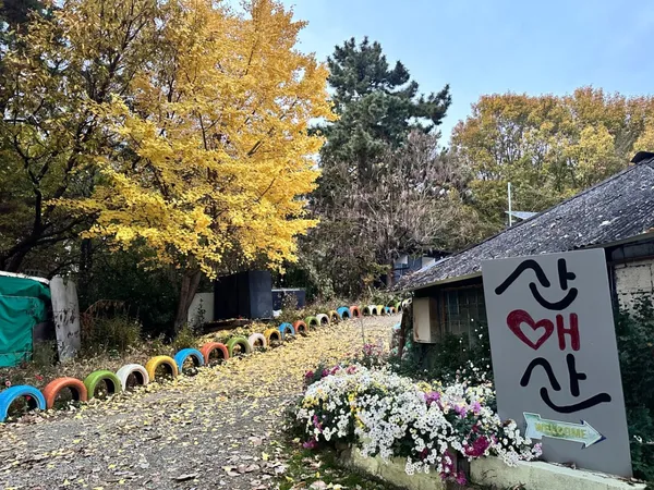 산애산