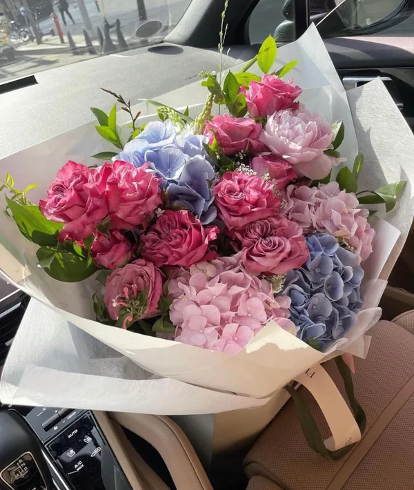 플차 사진 2