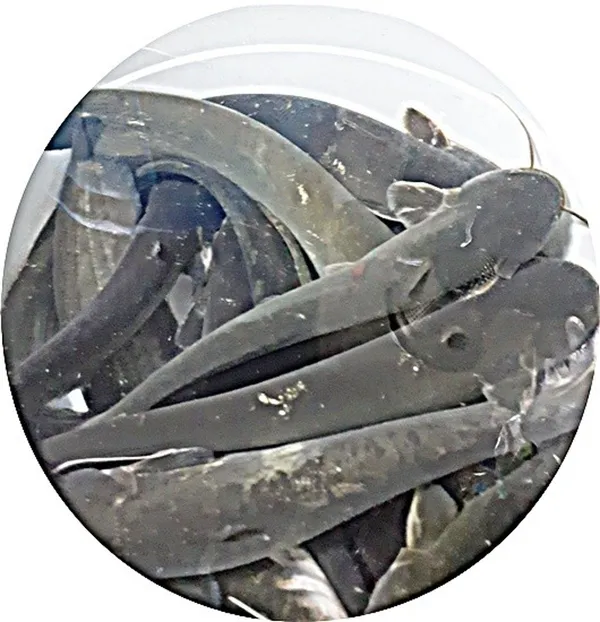 충남추어탕 사진 2
