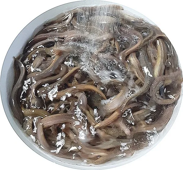 충남추어탕 사진 3
