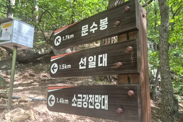 내연산 사진 3